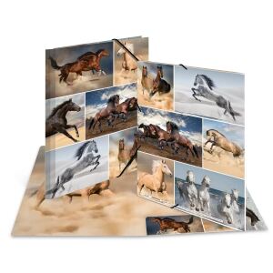 HERMA 19209 Sammelmappe Karton Mehrfarbig A4