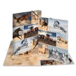 HERMA 19209 Sammelmappe Karton Mehrfarbig A4