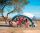 COLEMAN Pavillon Fast Pitch Shelter XL