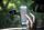 Mobilis 044006 Halterung Passive Halterung Handy/Smartphone, Navigator Schwarz