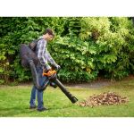 Black&Decker El.Laubsauger, 3000W Laubfangrucksack BEBLV300