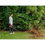 Black&Decker El.Laubsauger, 3000W Laubfangrucksack BEBLV300