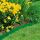 Gardena 538-20 Rasenkante Garten-Einfassungsrolle Kunststoff Grün