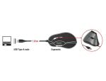 DeLOCK 12527 Maus Büro rechts USB Typ-A Optisch 800 DPI