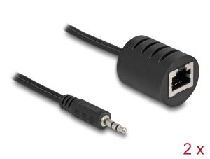 DELOCK Stereo Audio Extender RJ45 Bu zu 3,5mm Klinkenst 2 St