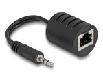 DELOCK Stereo Audio Extender RJ45 Bu zu 3,5mm Klinkenst 2 St