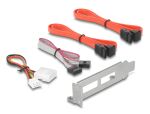 DELOCK Slotblech 2x eSATAp