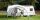 COLEMAN Pavillon Event Shelter 3 x 3 m Parvillon
