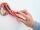 TESA 40303-00000-00 Handtuchhalter & -ring Wand-montiert Edelstahl
