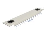 DELOCK 10" Netzwerkschrank Blindabdeckung werkzeugfrei 1 HE