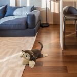 Mad Monkey - Chuckle Buddie Affe