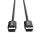 Inca IDPD-20 DisplayPort-Kabel 2 m Schwarz