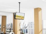Equip 43"-86" Rücken-an-Rücken-Deckenhalterung für Doppelbildschirme
