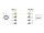 DeLOCK M12 Kabel A-kodiert 8 Pin Stecker zu RJ45 Buchse PVC 0,5 m