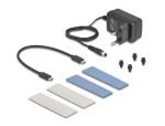 DeLOCK Externes USB 20 Gbps Gehäuse für 2 x M.2 NVMe PCIe SSD mit USB Type-C Buchse und Klon Funktion