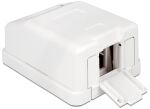 Keystone Delock Leergehäuse 1-Port mit Staubschutz