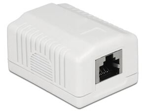 DeLOCK 86196 Steckdose RJ-45 Weiß