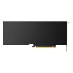 PNY VCNRTX4500ADA-SB Grafikkarte NVIDIA RTX 4500 Ada 24 GB GDDR6