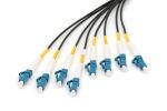 Digitus Vorkonfektionierte Glasfaser Universal Breakout Kabel, Singlemode OS2, 8 Fasern, LC/UPC - LC/UPC