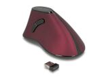 DELOCK ergonom. Maus vertikal optisch 5-Tasten 2.4GHz wirel.