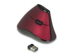 DELOCK ergonom. Maus vertikal optisch 5-Tasten 2.4GHz wirel.