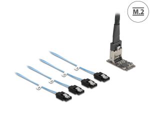 DELOCK M.2 2242 Key B+M Kontroller zu 4 x SATA mit 1 m Kabel