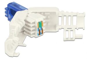 DeLOCK 86417 Drahtverbinder RJ-45 Blau, Weiß