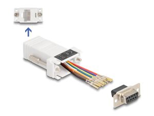 DELOCK Adapter D-Sub9 -> RJ45 Bu/Bu Montagesatz weiß