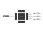 DeLOCK S/PDIF TOSLINK Splitter 1 In 3 Out mit USB Stromversorgung