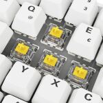 Sharkoon SGK50 S4 Tastatur Haus USB QWERTZ Deutsch Weiß