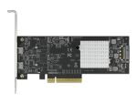 DeLOCK PCI Express x8 Karte zu 2 x extern SuperSpeed USB 20 Gbps (USB 3.2 Gen 2x2) USB Type-C Buchse Dual Channel - Low Profile Formfaktor