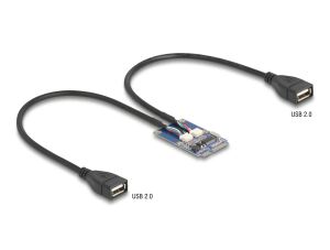 DELOCK Mini PCIe Adapter full size > 2x USB 2.0 Typ-A Bu
