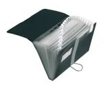 Herlitz 11208394 Sammelmappe Schwarz
