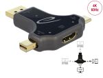 DELOCK 3 in 1 Monitoradapter USB-C/DisplayPort/mini DisplayP