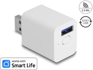 DELOCK WLAN EASY-USB Smart Life Schalter