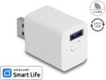 DELOCK WLAN EASY-USB Smart Life Schalter