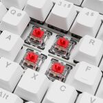 Sharkoon SGK25 Tastatur Haus USB QWERTZ Deutsch Weiß