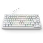 Sharkoon SGK25 Tastatur Haus USB QWERTZ Deutsch Weiß
