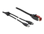 DeLOCK PoweredUSB Kabel Stecker 24 V zu USB Typ-A Stecker...