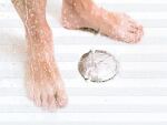 TESA 55533-00000-11 Rutschfeste/r Badematte & Aufkleber Antirutsch-Badestreifen Transparent