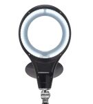 MAUL 8263690 Tischleuchte Schwarz