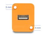 DELOCK D-Typ Modul USB 2.0 Typ-A Buchse zu Buchse orange