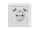DELOCK Einbausteckdose mit 2 x USB Typ-A Ladeport 2,8 A