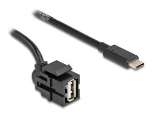 DeLOCK Keystone Modul USB 2.0 A Buchse zu USB Type-C Stecker 250° mit Kabel 0,5 m