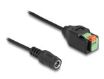 DeLOCK DC 5,5 x 2,1 mm Buchse zu 2 Pin Terminalblock...