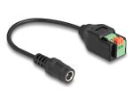 DeLOCK DC 5,5 x 2,1 mm Buchse zu 2 Pin Terminalblock...