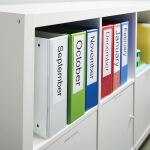 DYMO Original LabelWriter-Ordner-Etiketten | 38 mm x 190 mm | Rolle mit 110 leicht ablösbaren Etikettenband | selbstklebend | für LabelWriter Etikettendrucker und Beschriftungsgerät