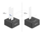 DELOCK USB 20 Gbps M.2 Dockingstation 2x M.2 NVMe PCIe SSD