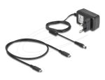DELOCK USB 20 Gbps M.2 Dockingstation 2x M.2 NVMe PCIe SSD