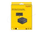 DELOCK USB 20 Gbps M.2 Dockingstation 2x M.2 NVMe PCIe SSD
